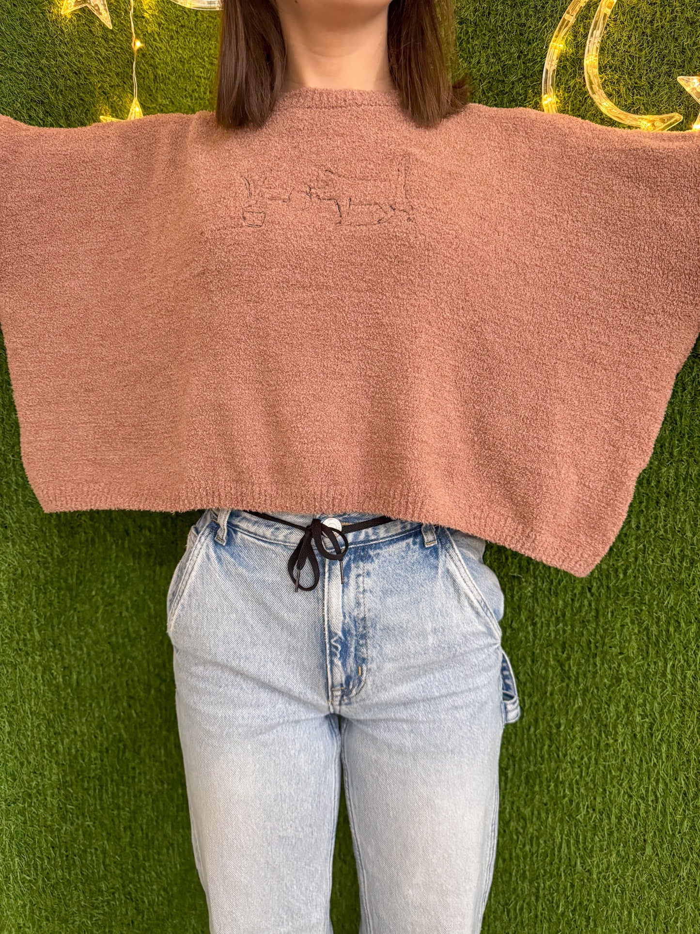 Plant Cat Brown Cropped Sweater L
