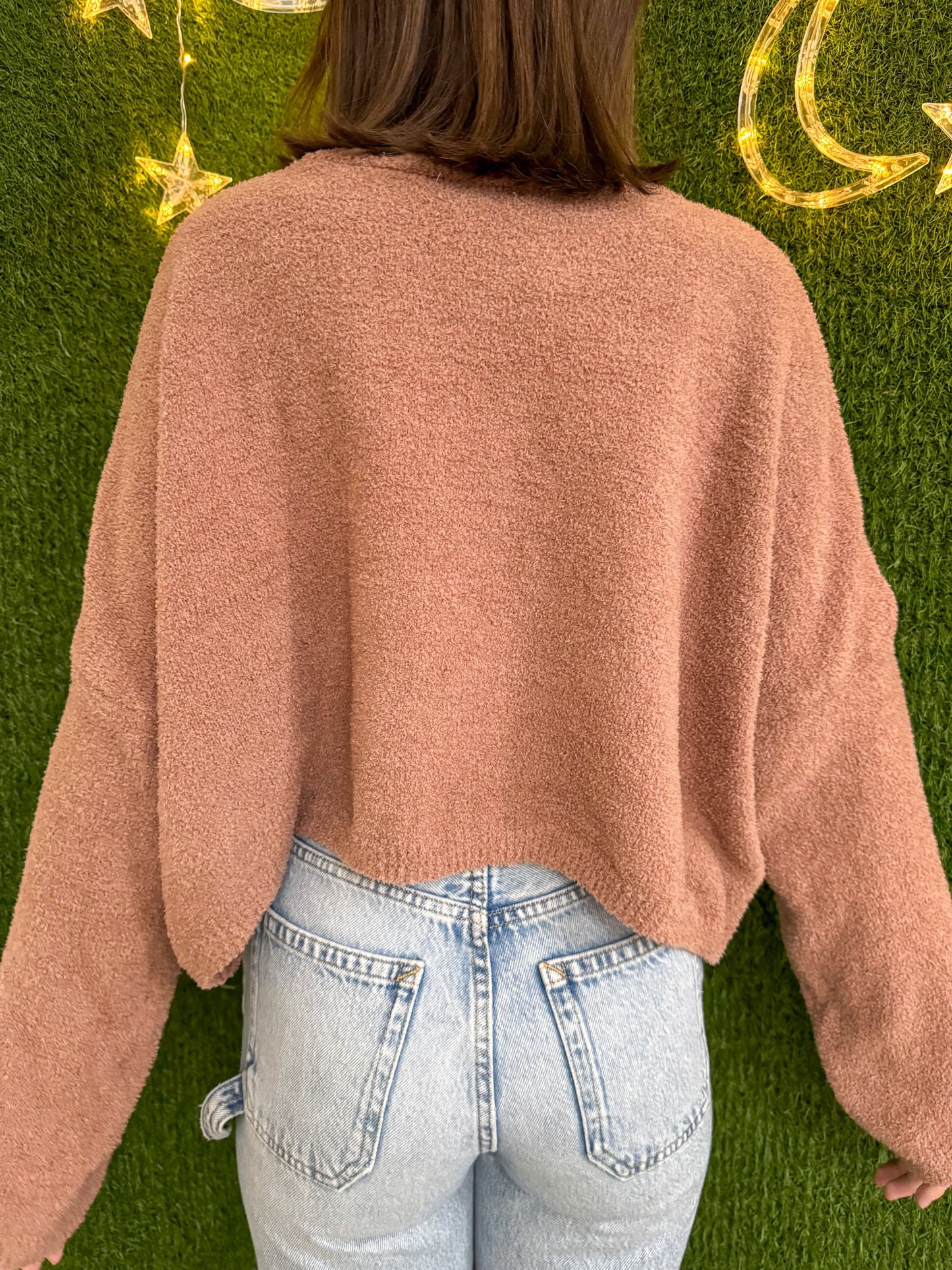 Plant Cat Brown Cropped Sweater L