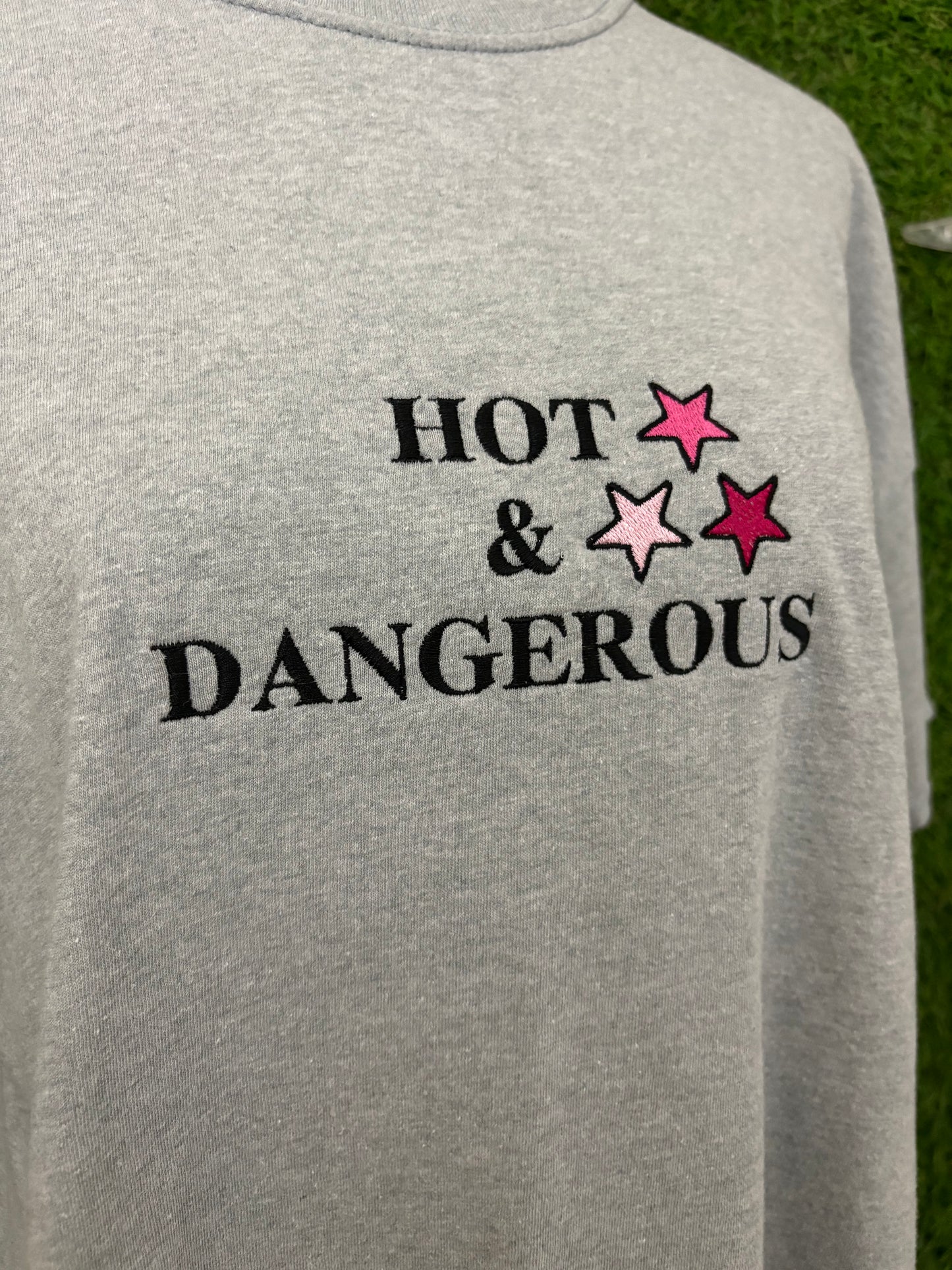 Hot & Dangerous Grey T-Shirt L