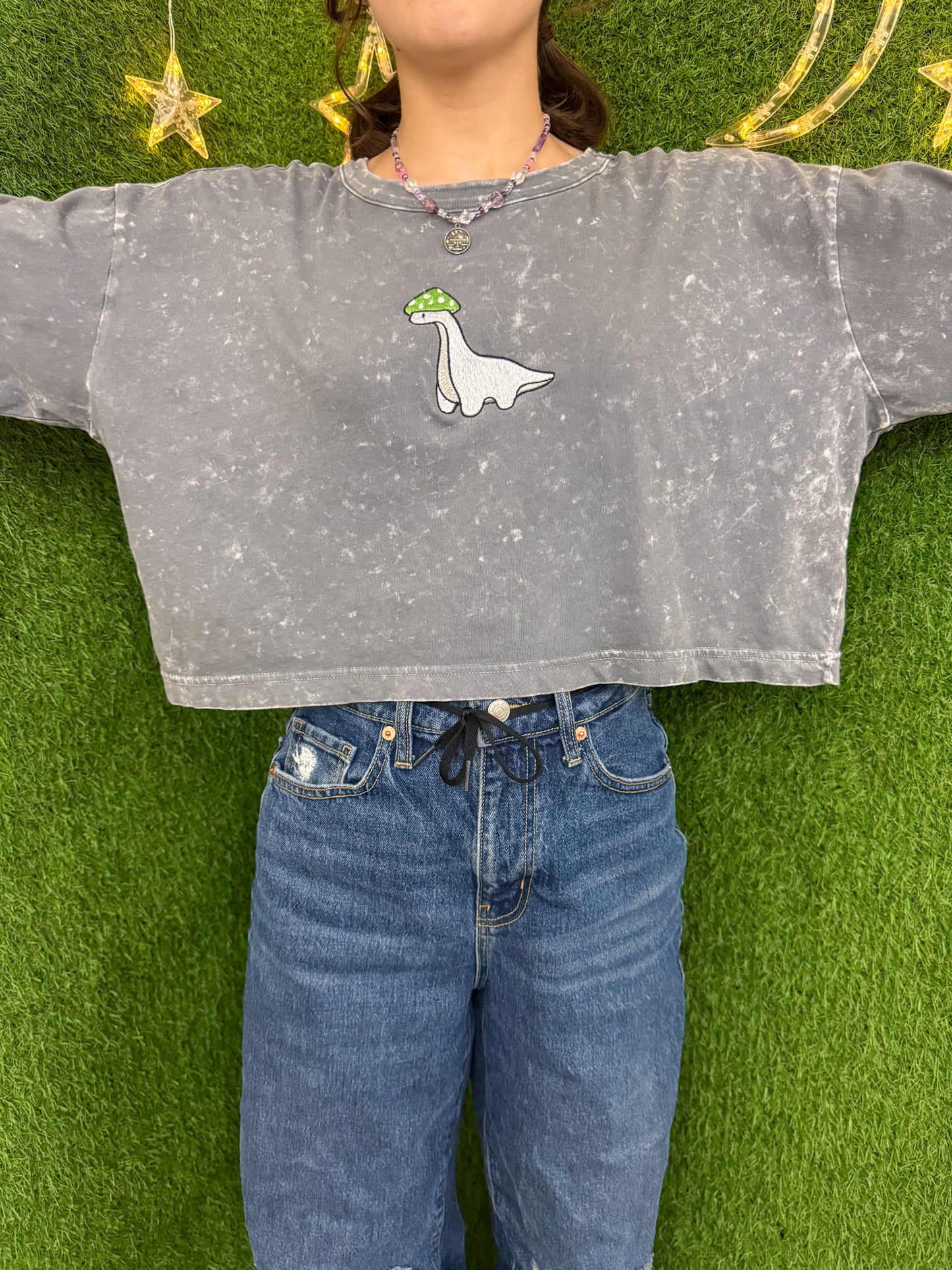 Mushroom Dino Grey Cropped Long Sleeve L