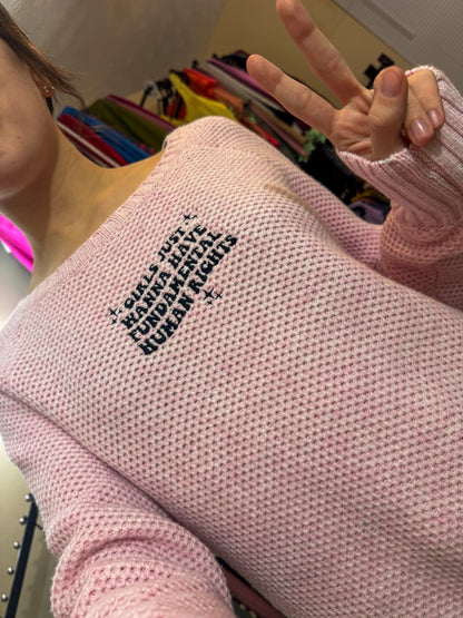 Girls Just Want Fundemental Rights Pink Sweater 2XL