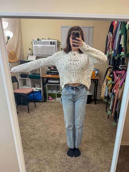 Eat The Rich Confetti Cropped Sweater XS