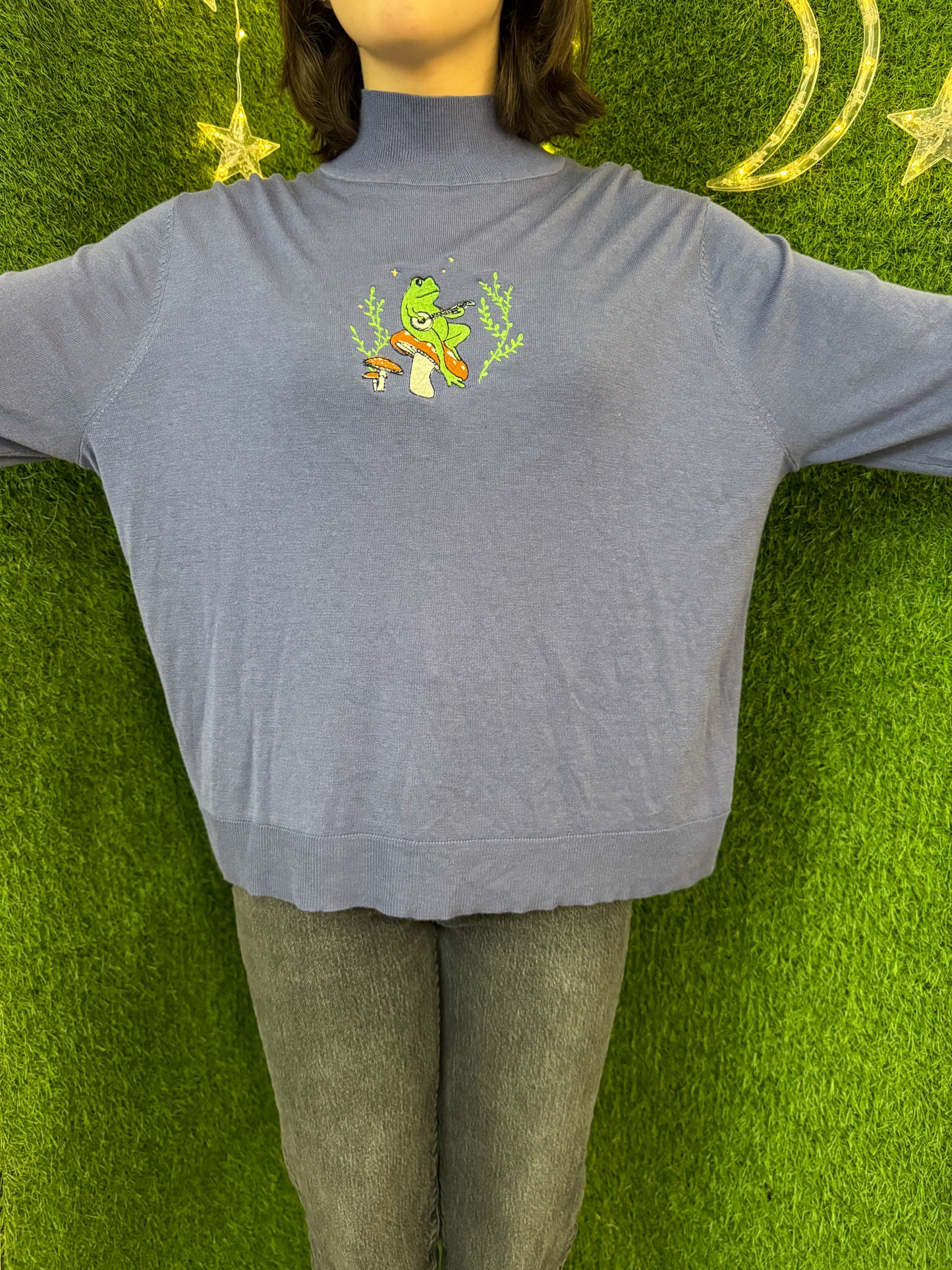 Banjo Frog Turtleneck Cropped Long Sleeve 2XL