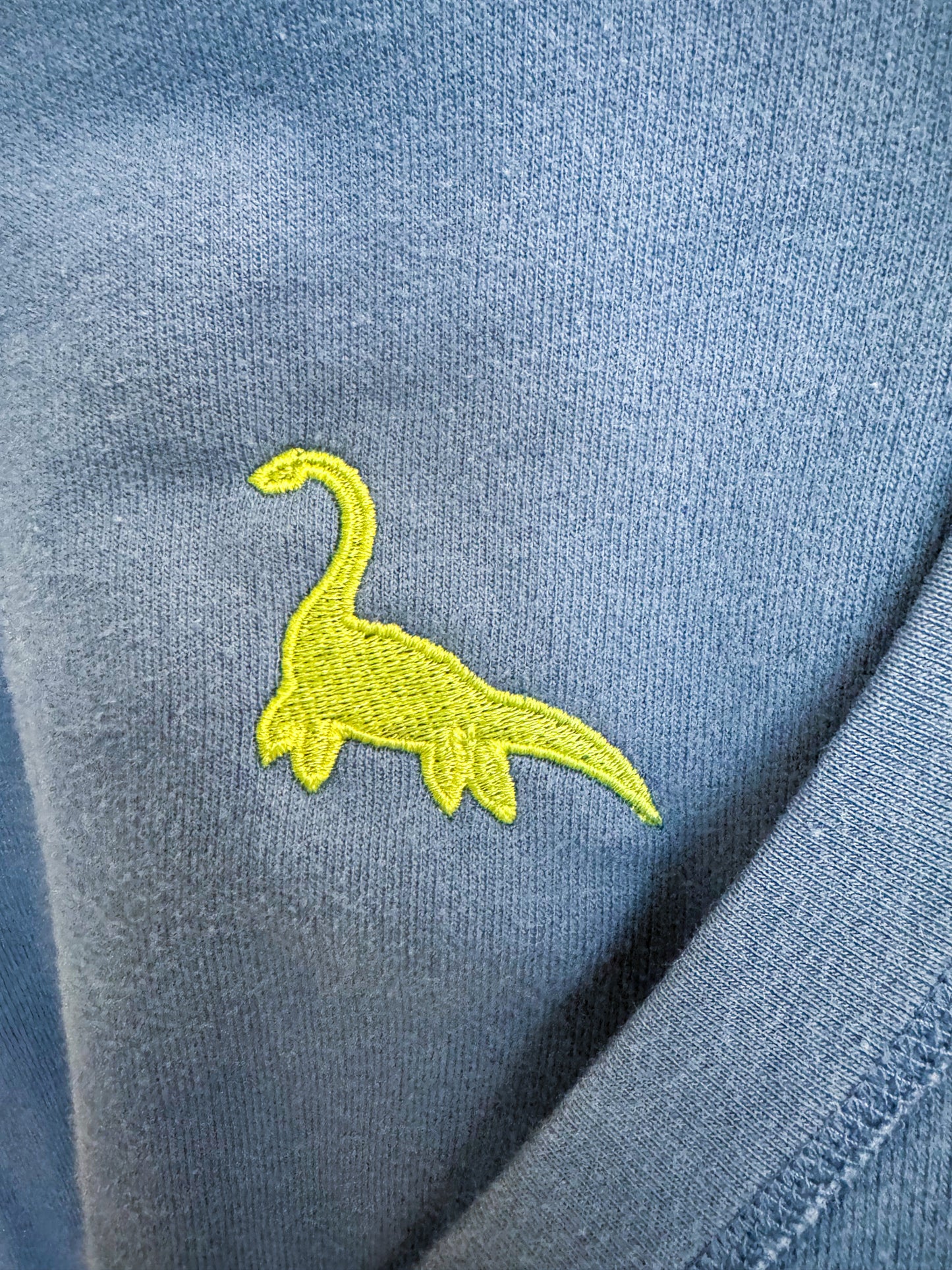 Nessie Sky Blue Hoodie L