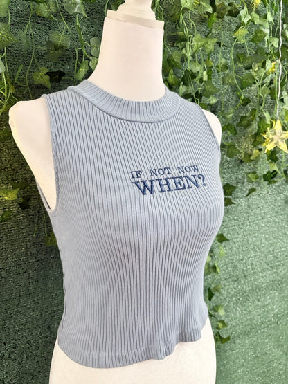 If Not Now, When? Blue Sleeveless Ribbed Top XS